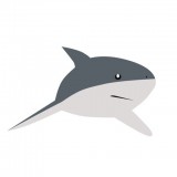 鲨鱼取图安卓下载