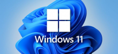 win11ôùļwin11ļù̳