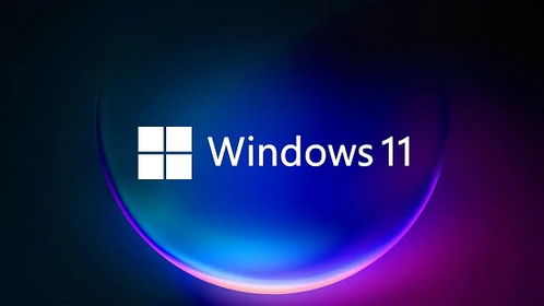 win11ôļأ