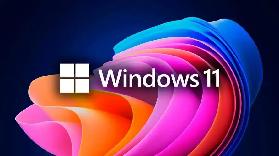 Win11D