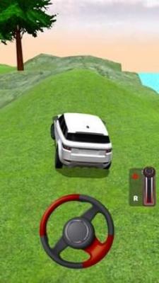 ʵʻ3D