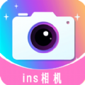 insѰ