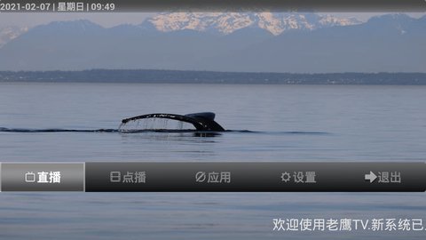 老鹰TV电视直播安卓版 V9.9