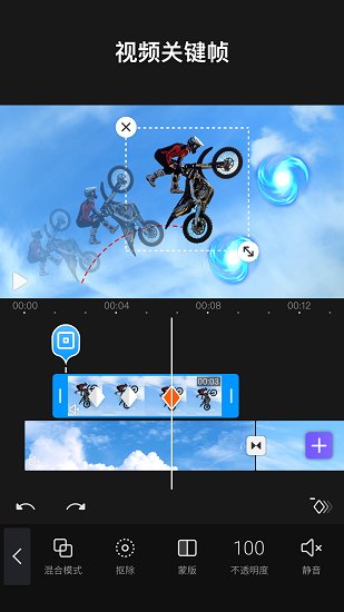 VivacutѰ V1.0