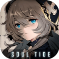 soul tideʷ V6.40.2