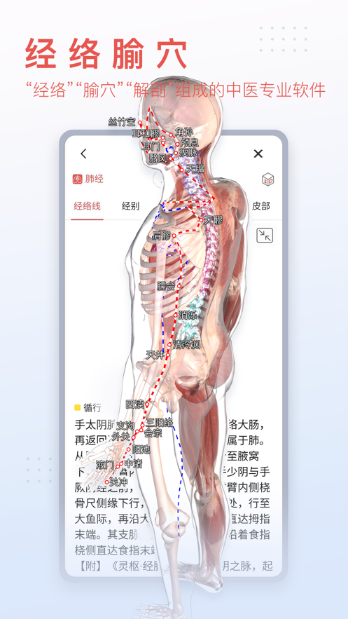 3dbodyͼֻ V8.6.90