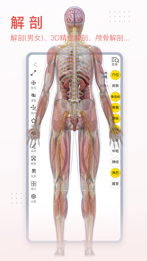 3dbodyͼֻ V8.6.90