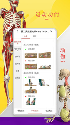 3dbodyѧٷ V8.3.40